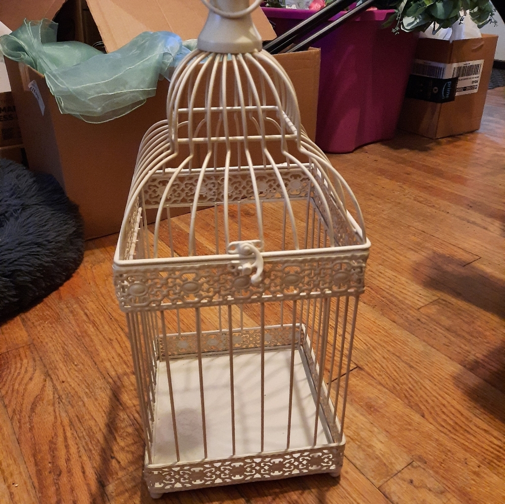 Wedding bird cage for cards